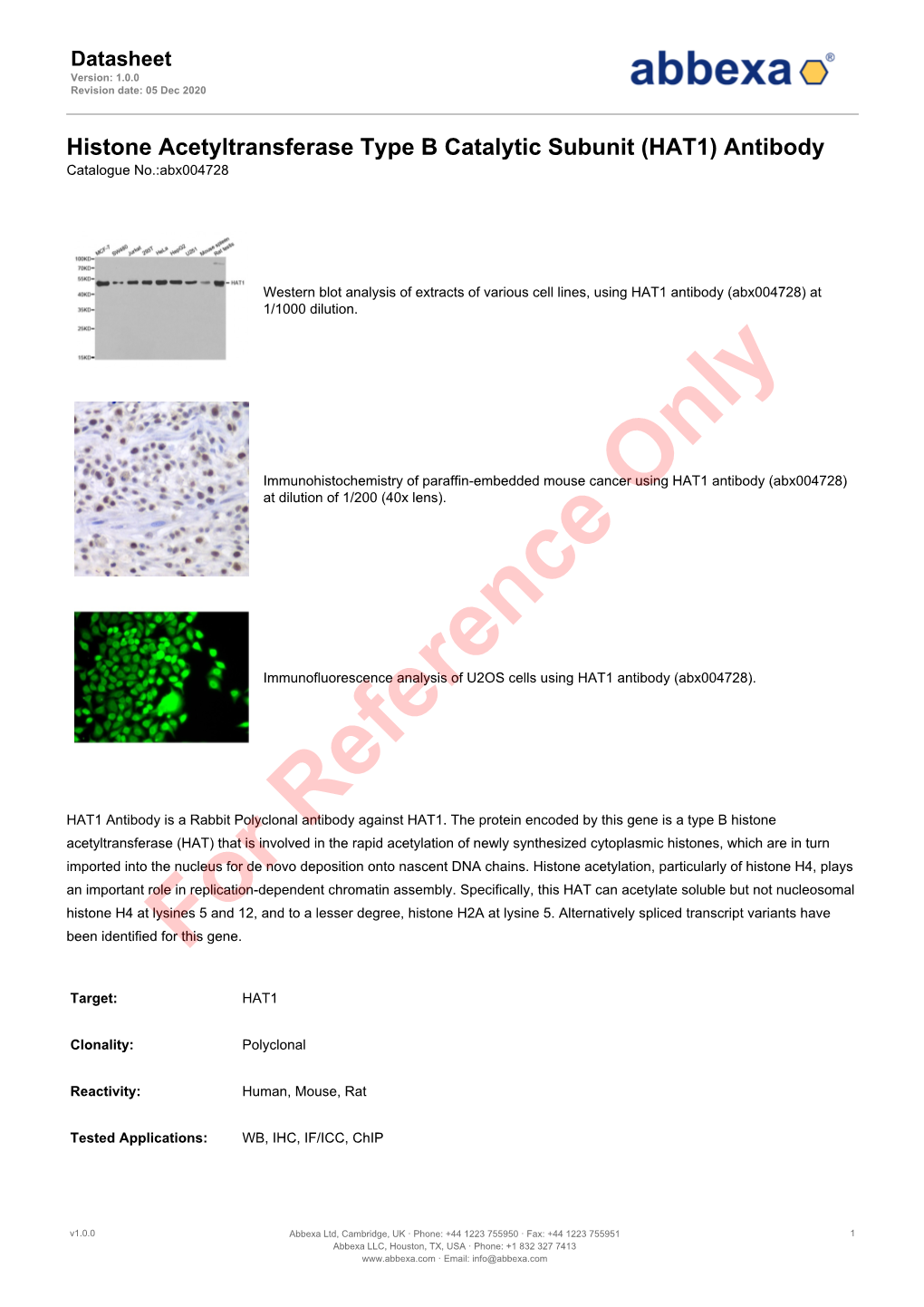 (HAT1) Antibody Catalogue No.:Abx004728