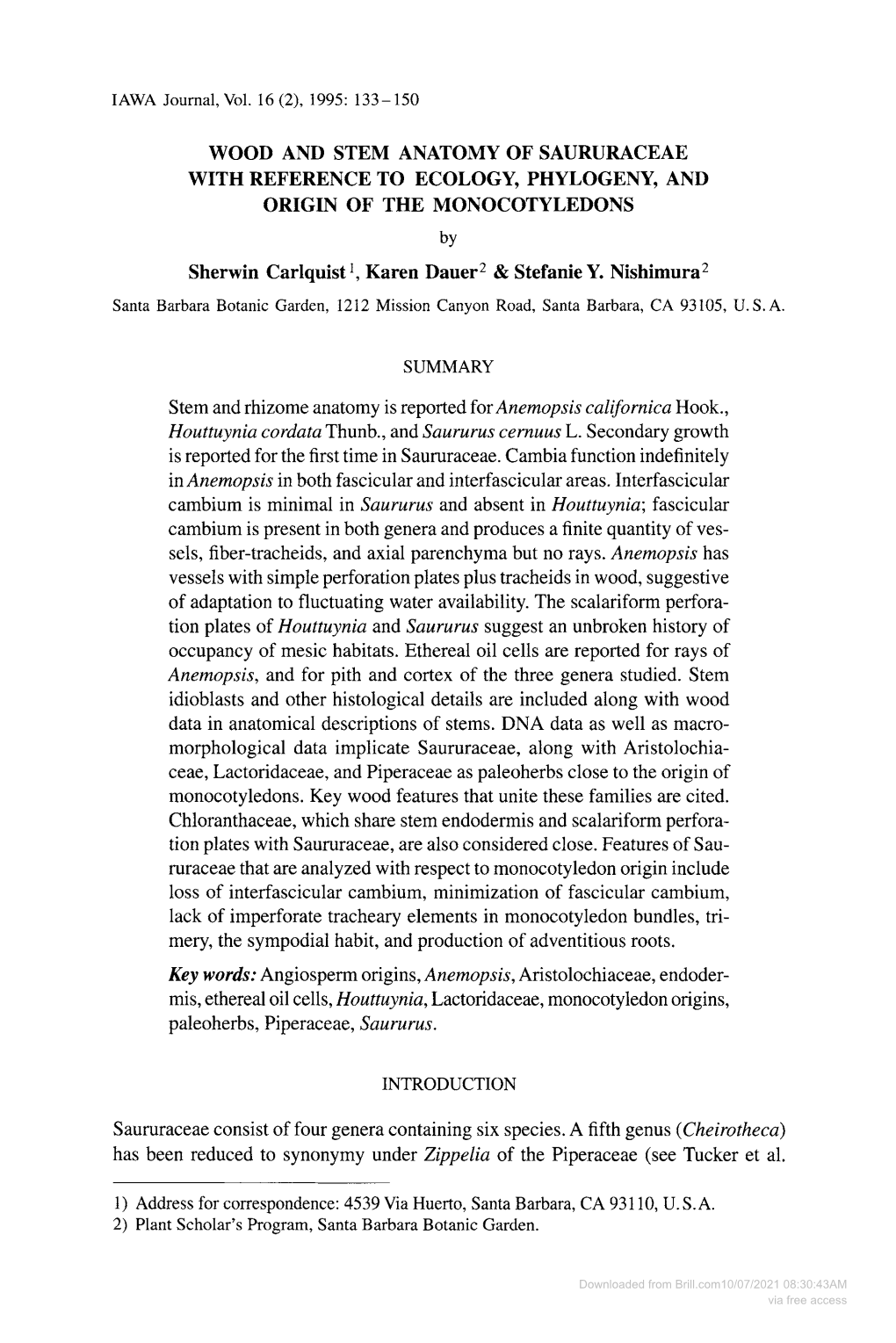 WOOD and STEM ANATOMY of SAURURACEAE with REFERENCE to ECOLOGY, PHYLOGENY, and ORIGIN of the MONOCOTYLEDONS By