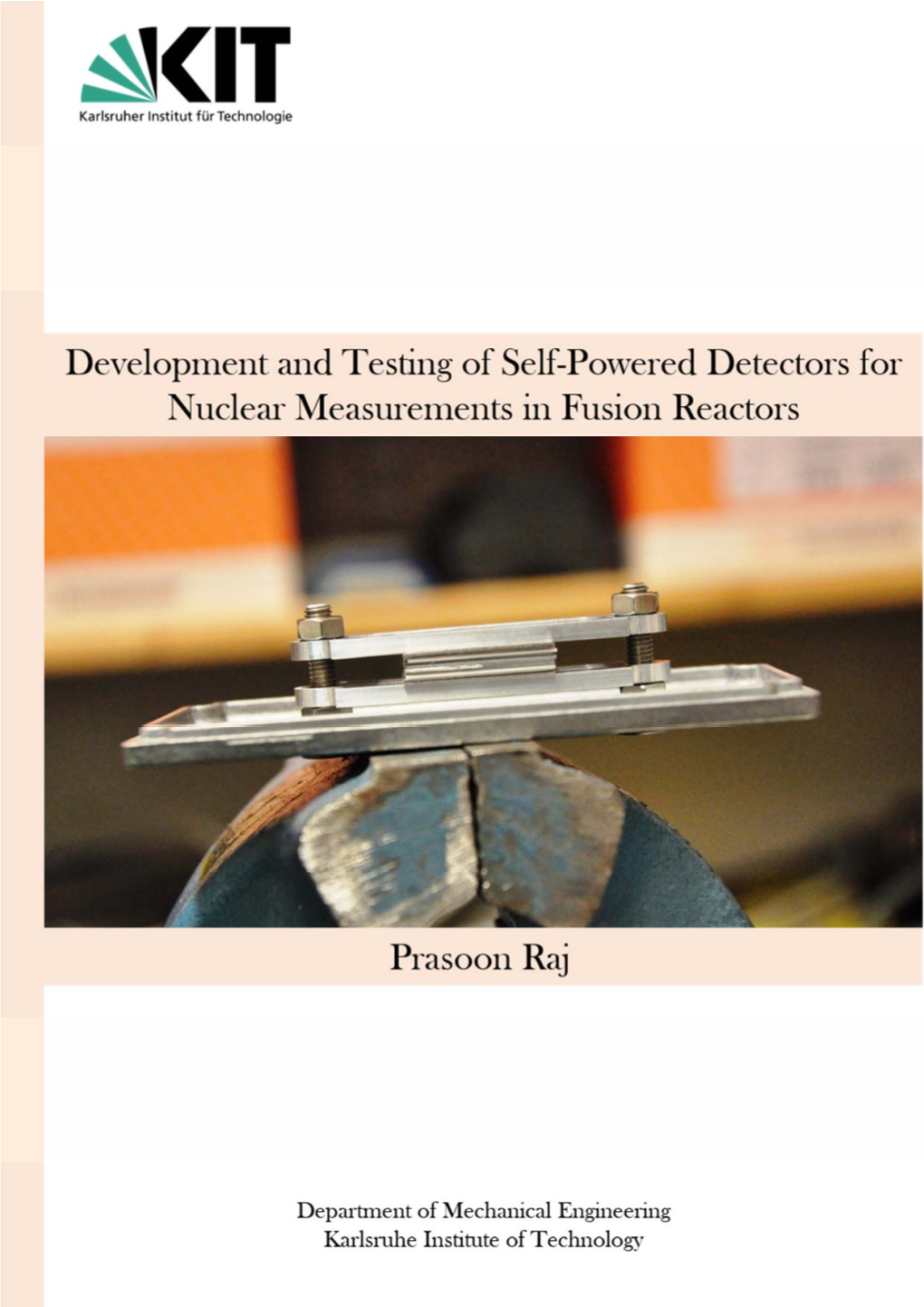 Development and Testing of Self‒Powered Detectors for Nuclear Measurements in Fusion Reactors