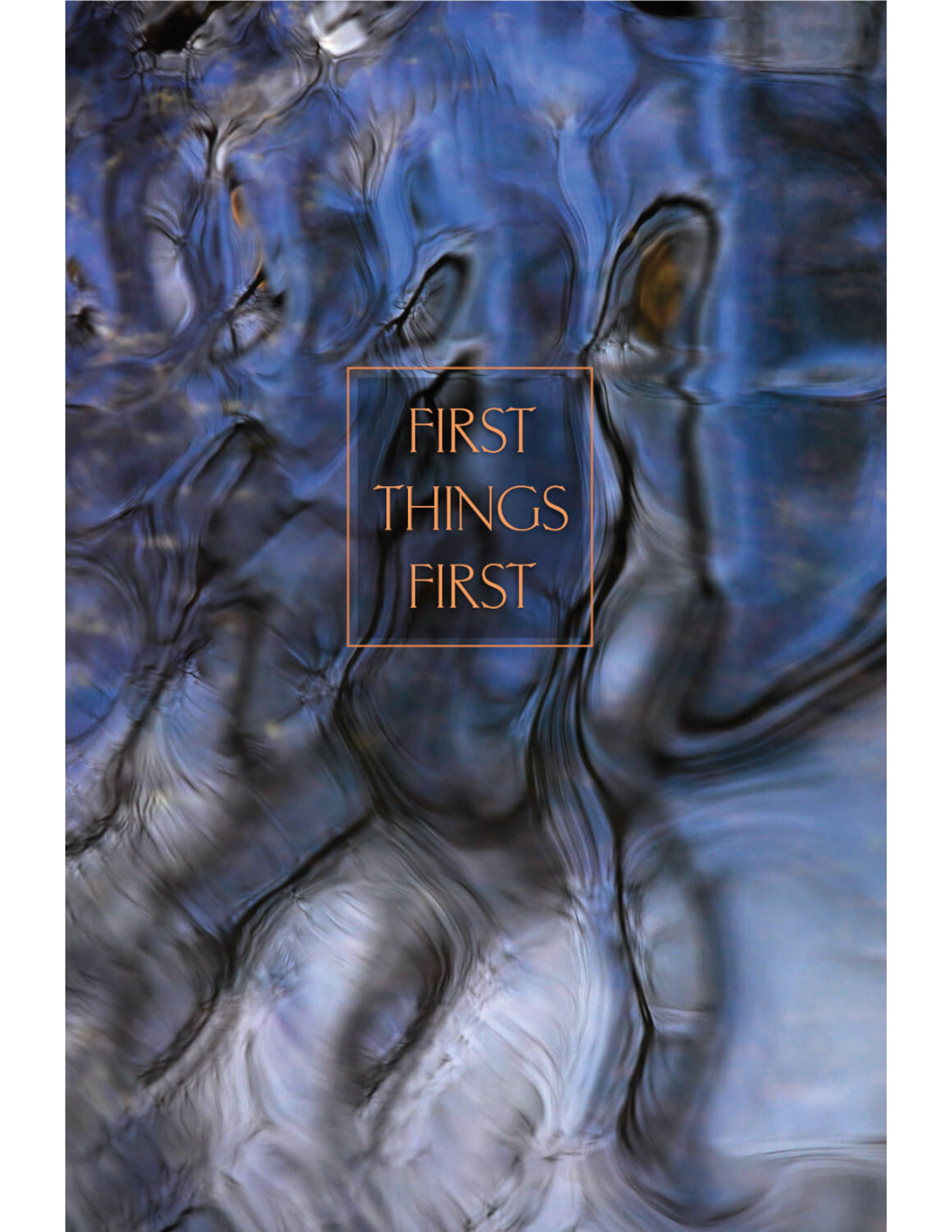 First Things First: Essays on the Buddhist Path