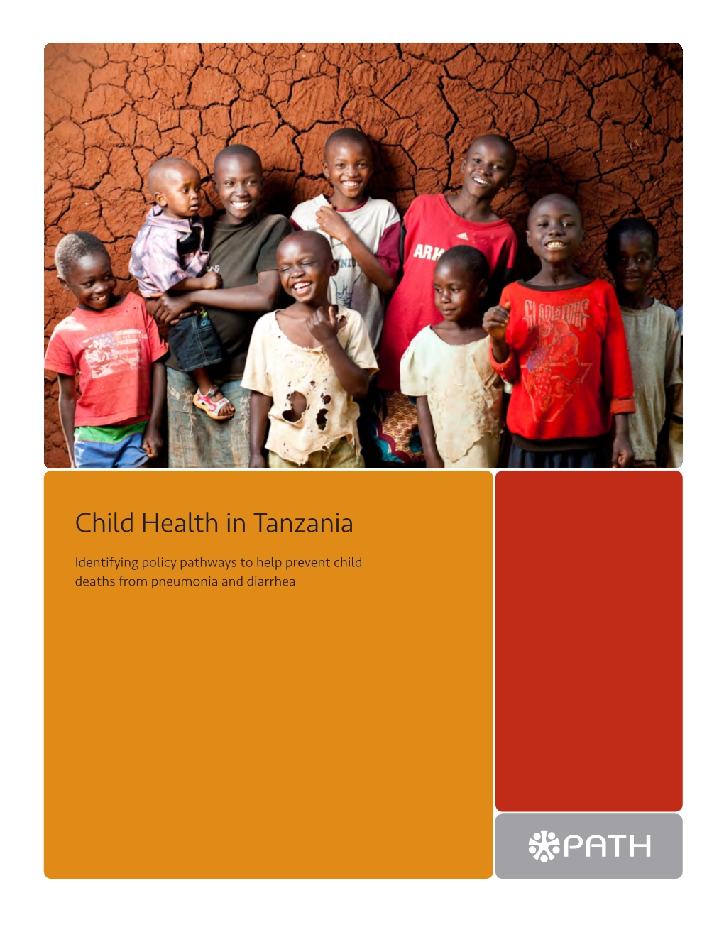 Child Health in Tanzania: Identifying Policy Pathways to Help Prevent Child Deaths from Pneumonia and Diarrhea