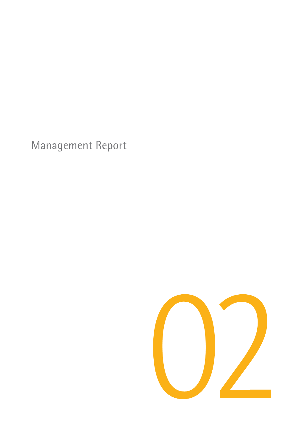 Management Report