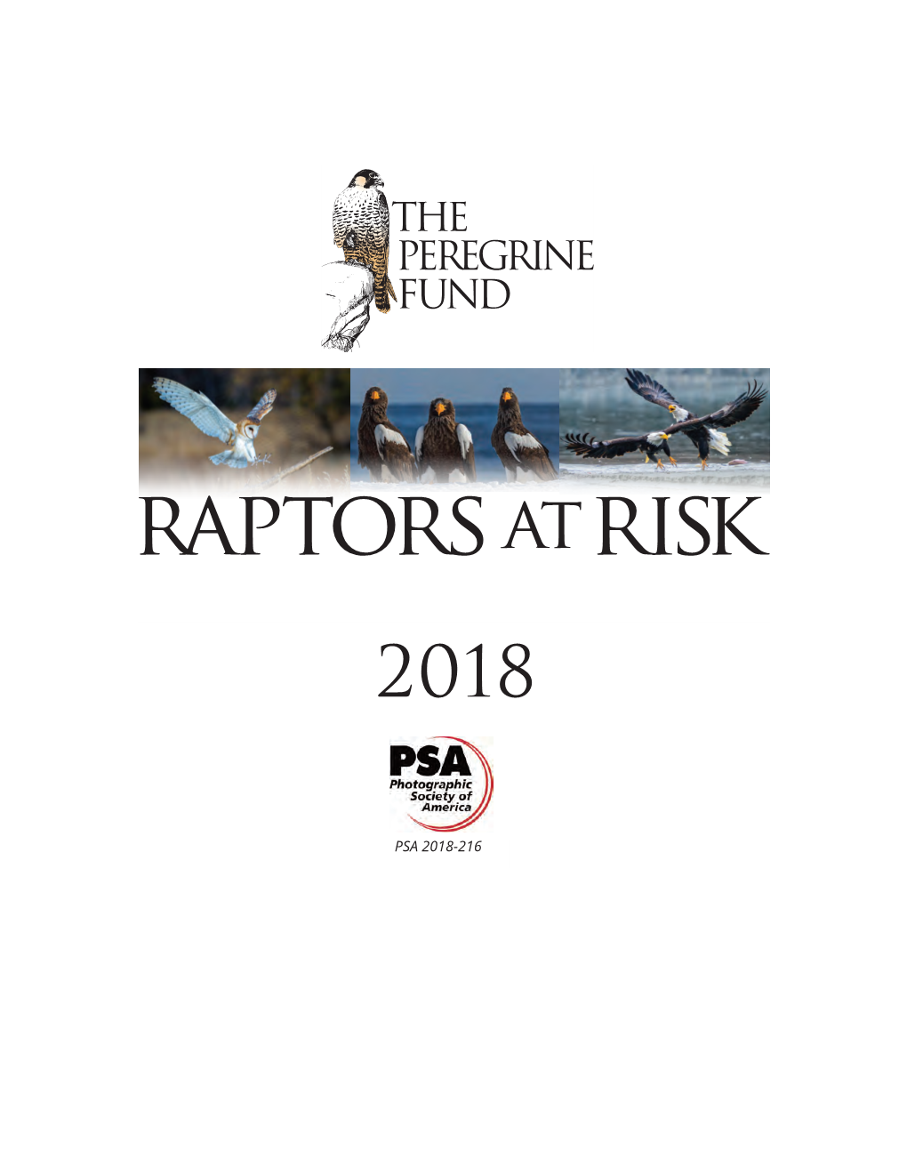 Raptorsatrisk