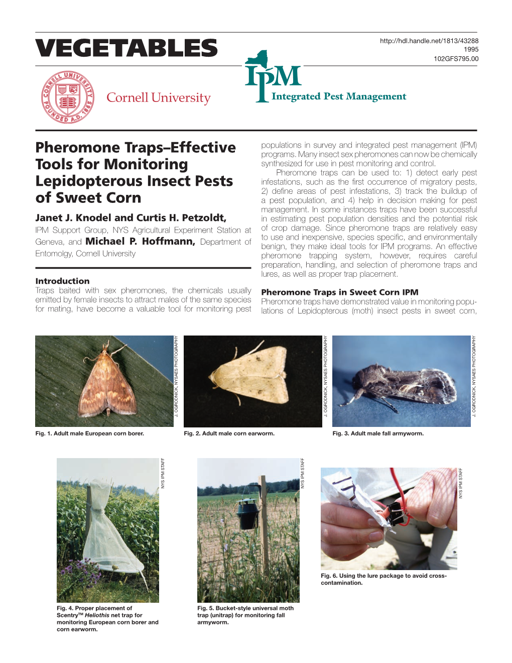 Pheromone Traps–Effective Tools for Monitoring Lepidopterous Insect