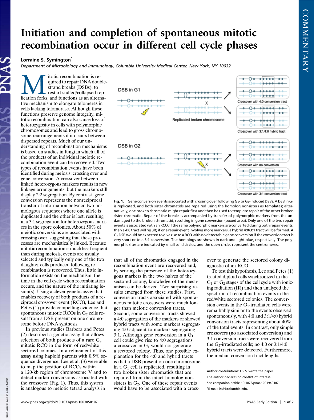 Initiation and Completion of Spontaneous Mitotic Recombination Occur in Different Cell Cycle Phases