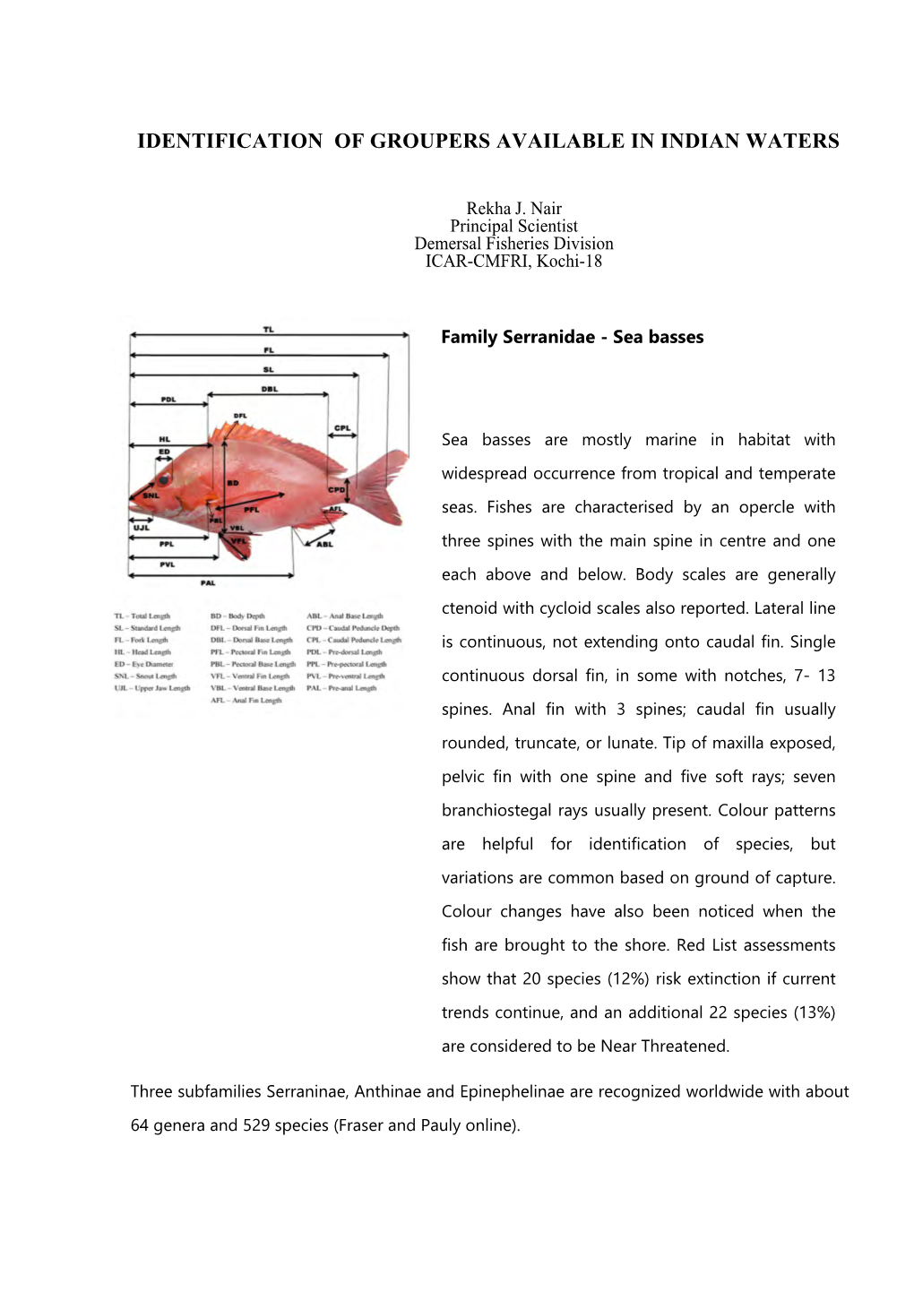 Identification of Groupers Available in Indian Waters