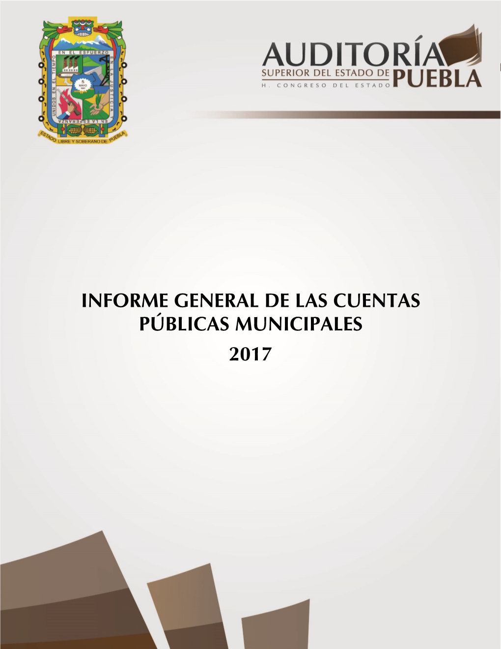 Informe General De Las Cuentas Públicas Municipales 2017