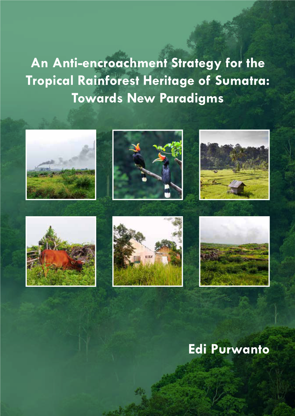 An Anti-Encroachment Strategy for the Tropical Rainforest Heritage Of