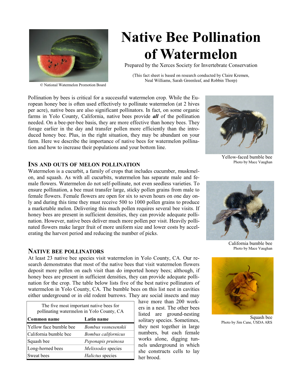 Native Bee Pollination of Watermelon Prepared by the Xerces Society for Invertebrate Conservation