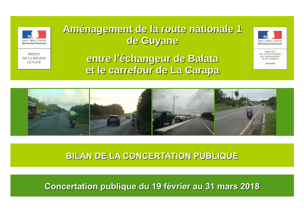 Aménagement De La Route Nationale 1 De Guyane Entre L'échangeur De
