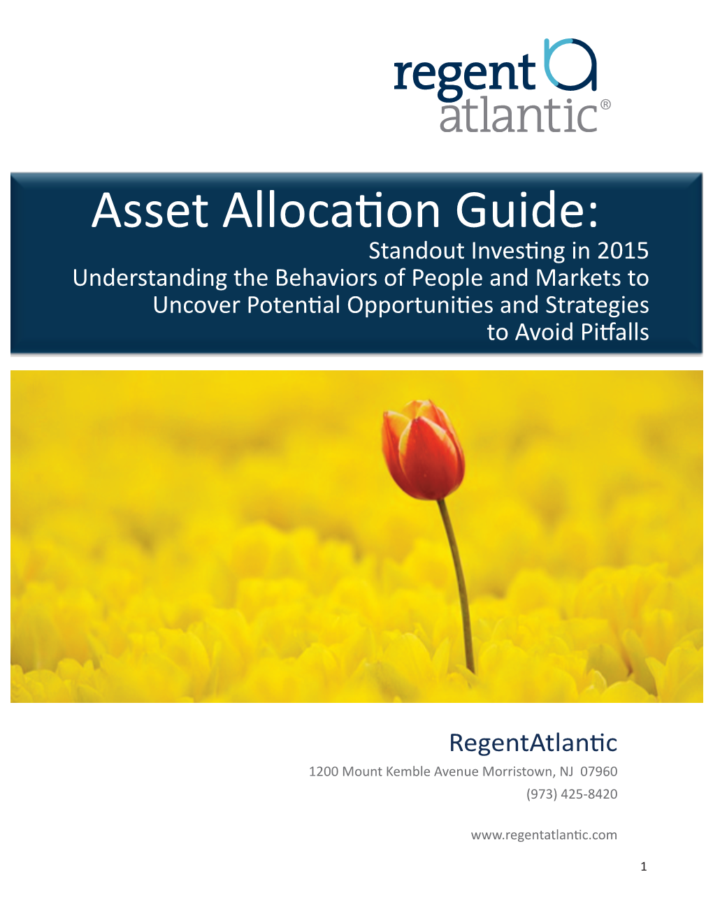 Asset Allocation Guide