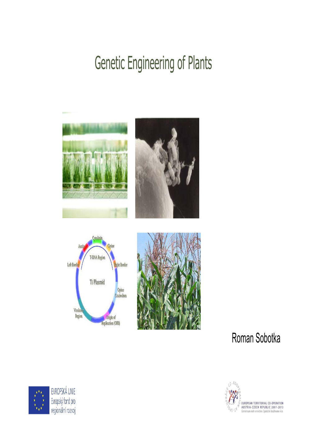 Genetic Engineering of Plants