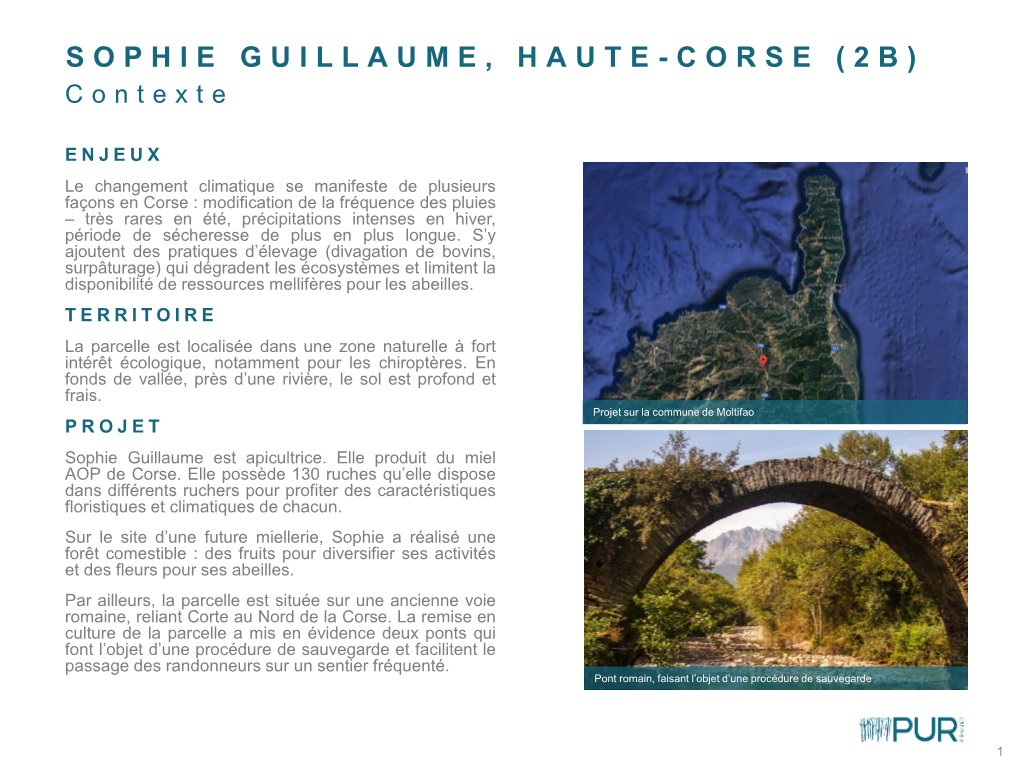 Sophie Guillaume, Haute-Corse