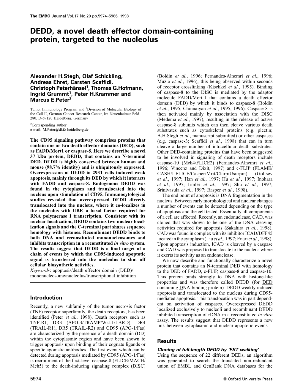 DEDD, a Novel Death Effector Domaincontaining Protein, Targeted