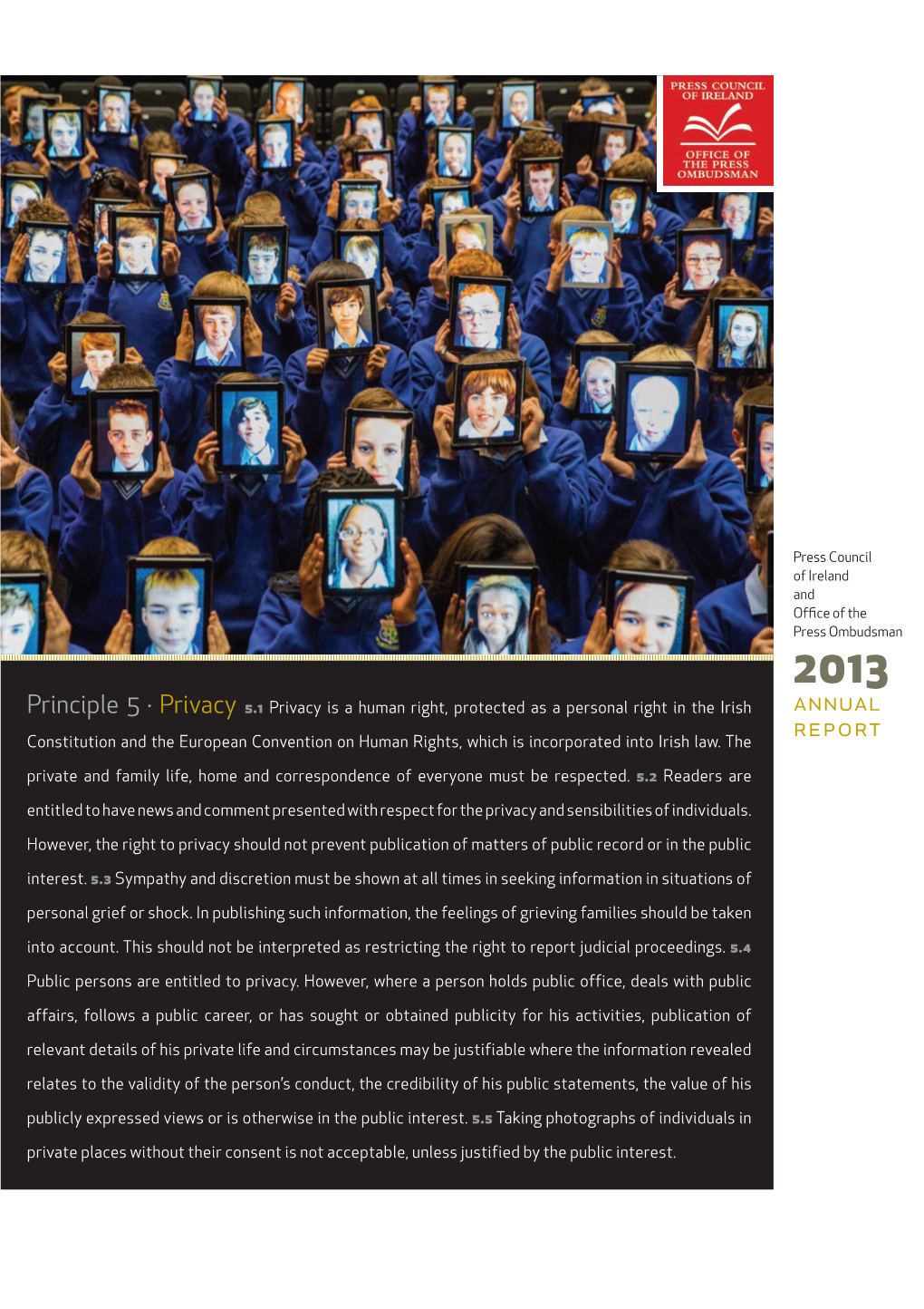 Annual Report 2013