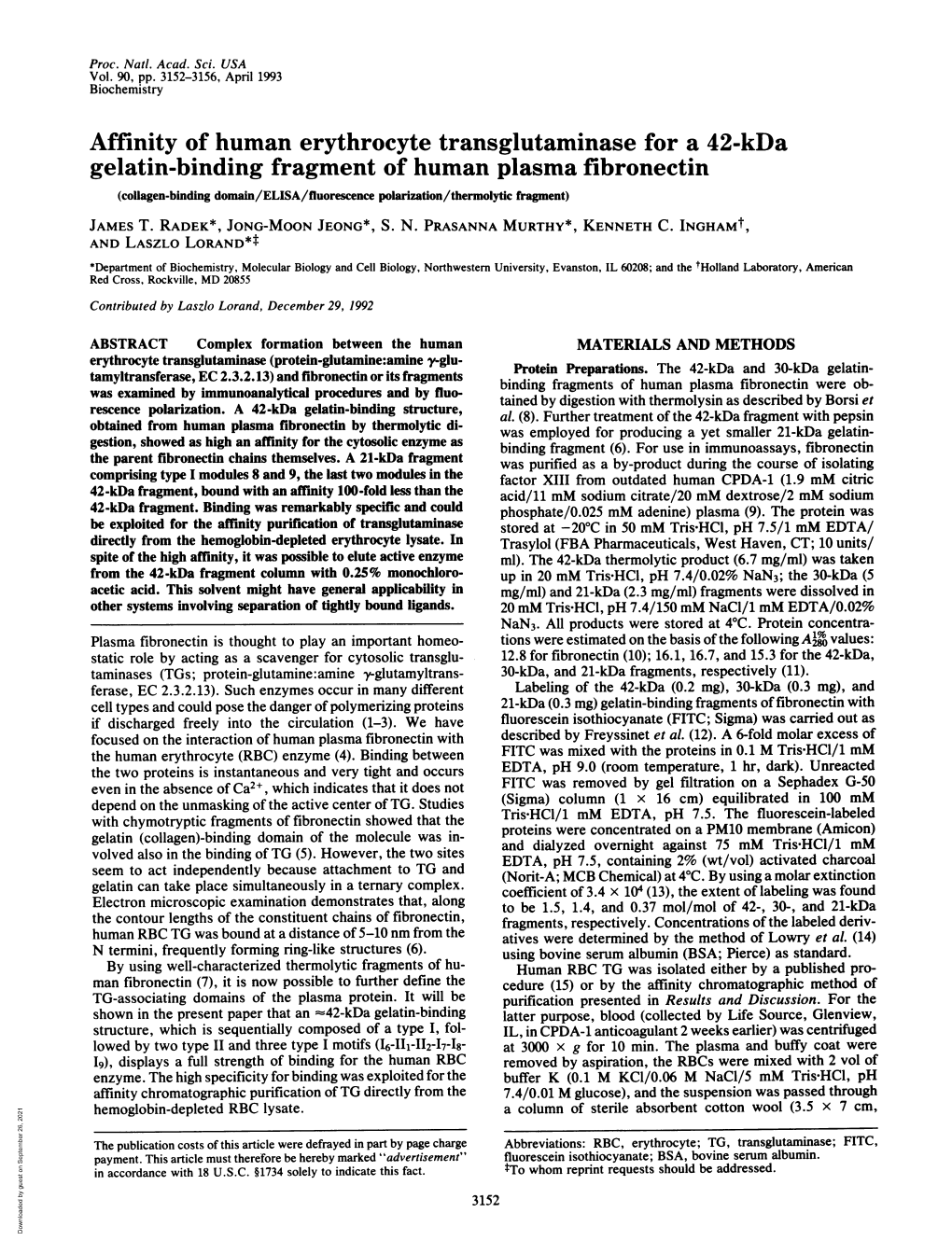 Affinity of Human Erythrocyte Transglutaminase for a 42-Kda Gelatin-Binding Fragment of Human Plasma Fibronectin