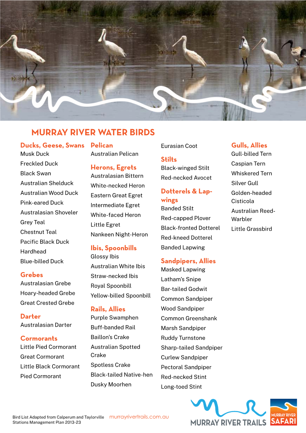 Murray River Water Birds