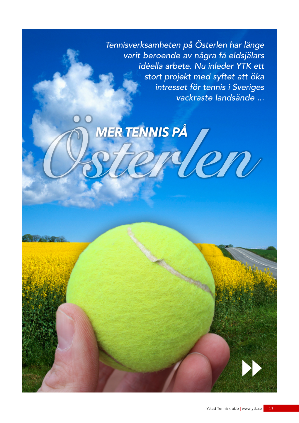 Mertennispaosterlen.Pdf