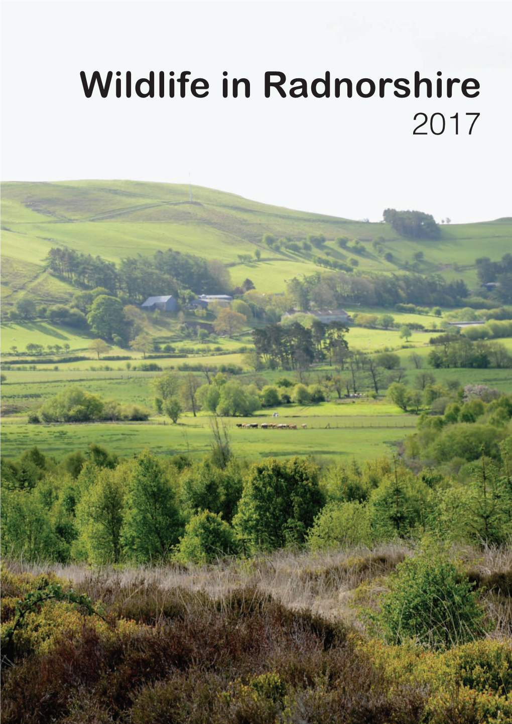 Wildlife in Radnorshire 2017 Report