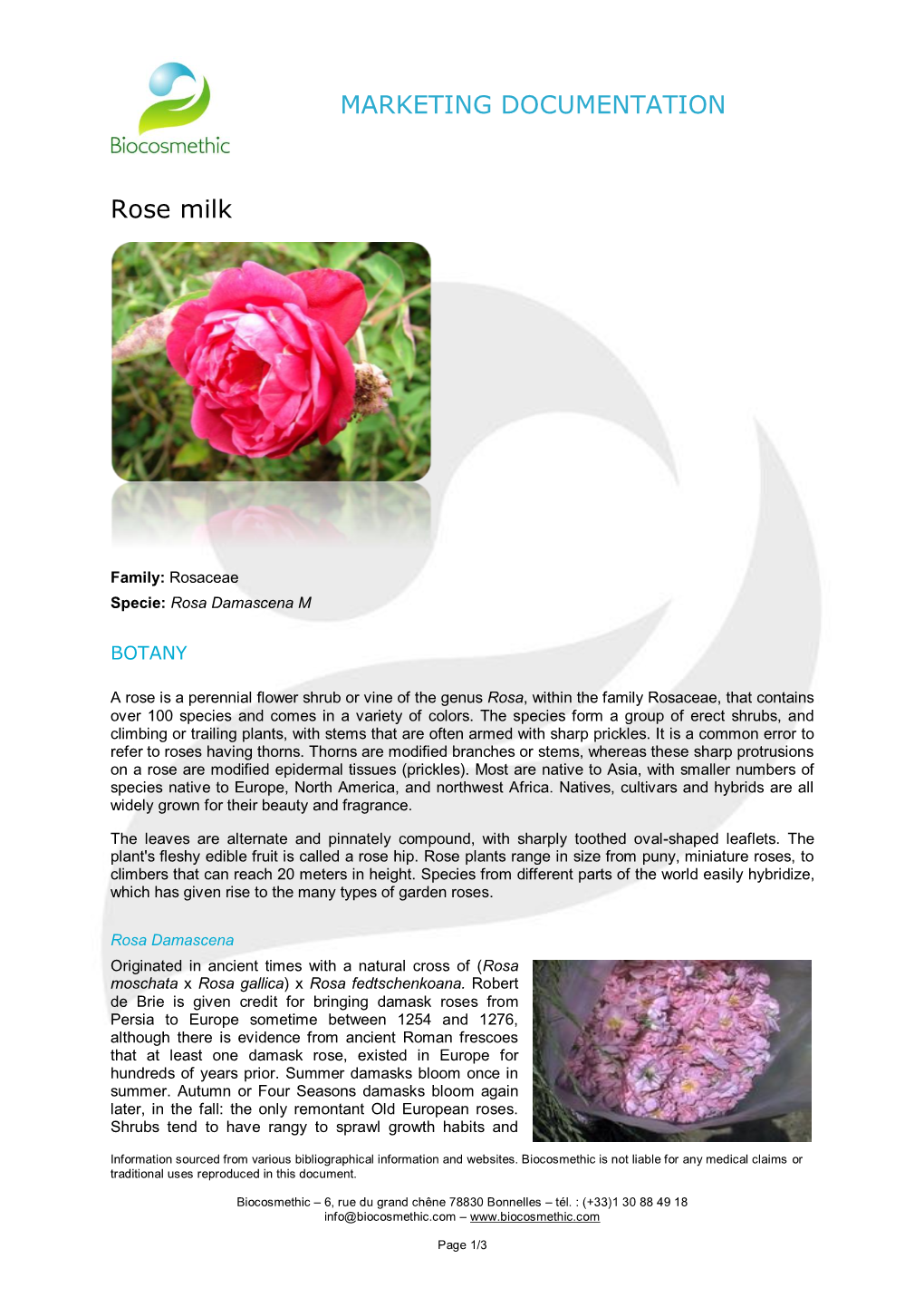 MARKETING DOCUMENTATION Rose Milk