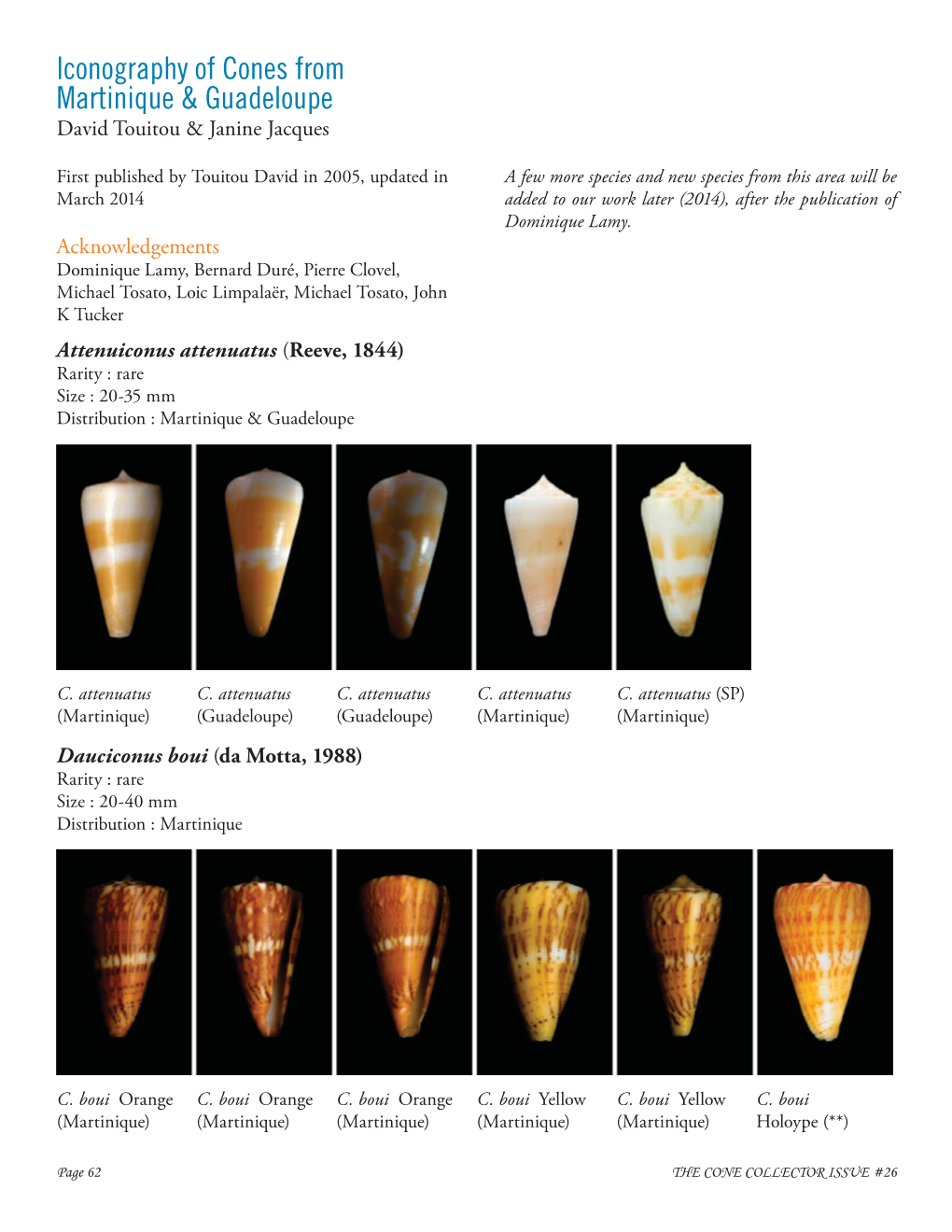 Cones of Martinique and Guadeloupe