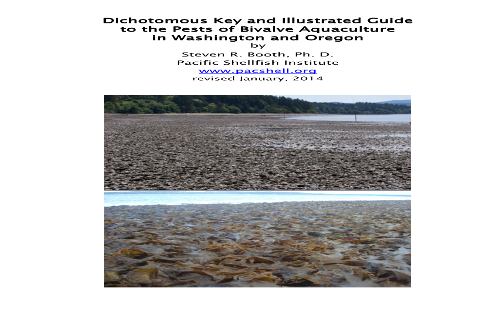 Dichotomous Key and Illustrated Guide to the Pests of Bivalve