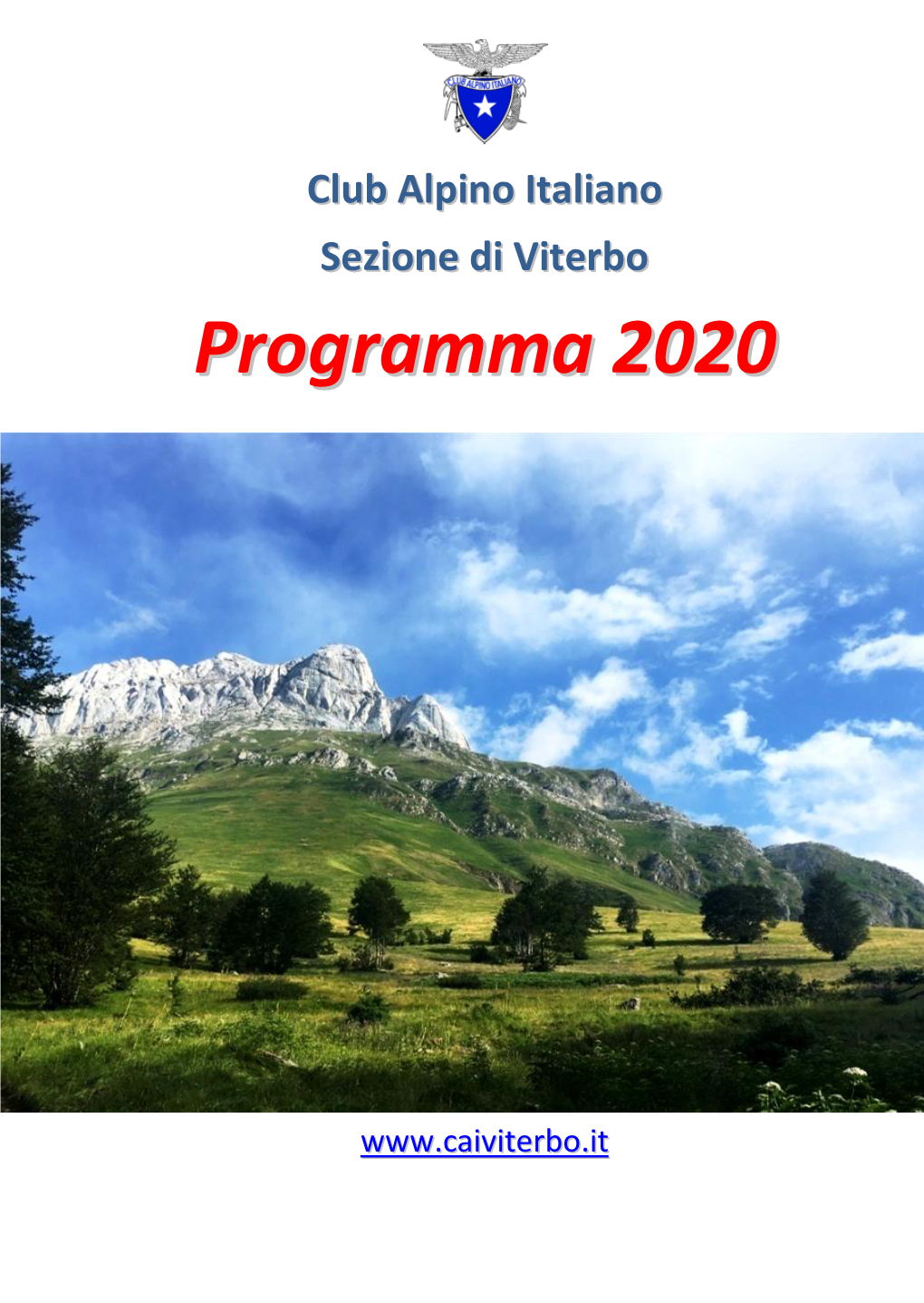 Programma 2020
