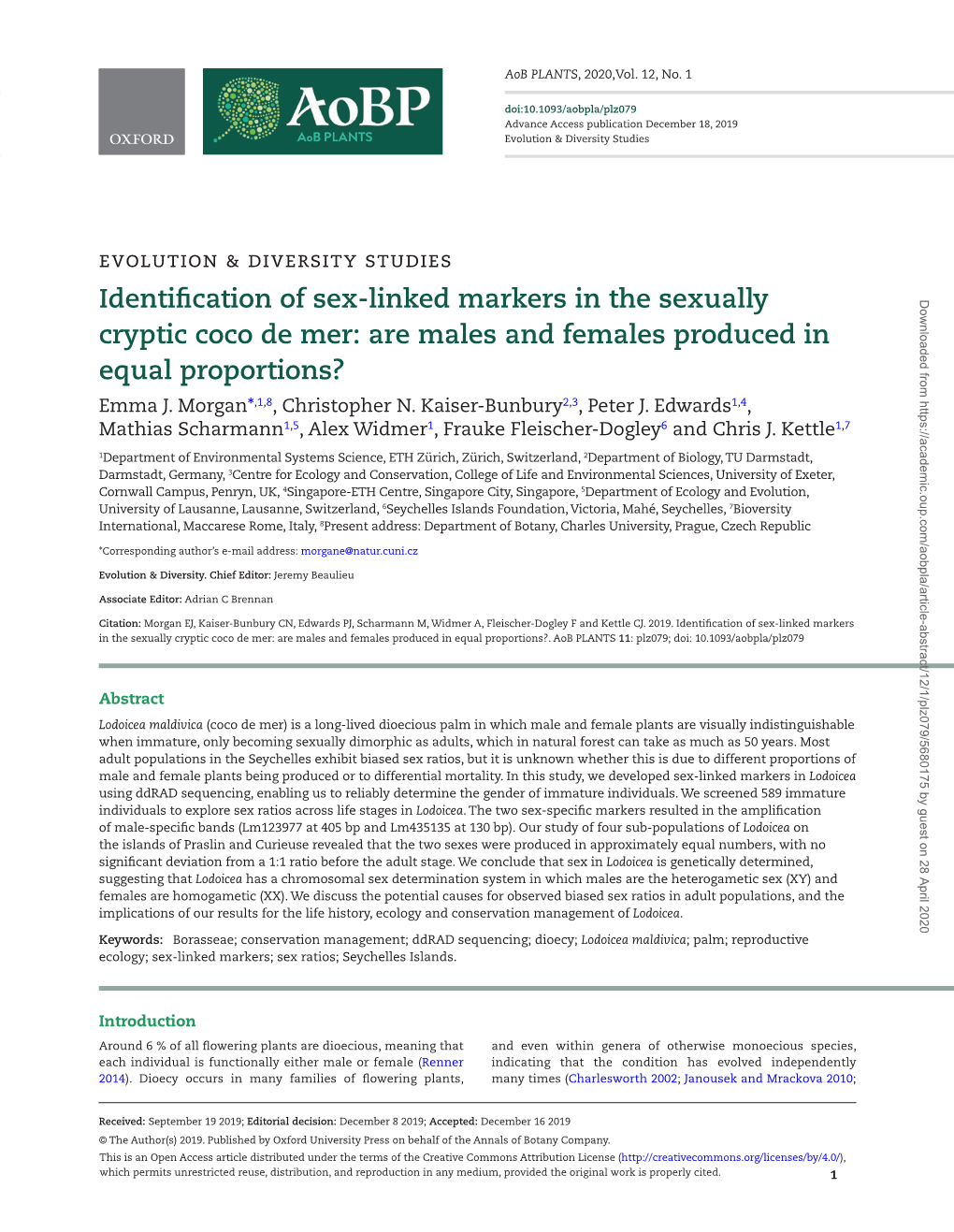 Identification of Sex-Linked Markers in the Sexually Cryptic Coco De Mer: Are Males and Females Produced in Equal Proportions?