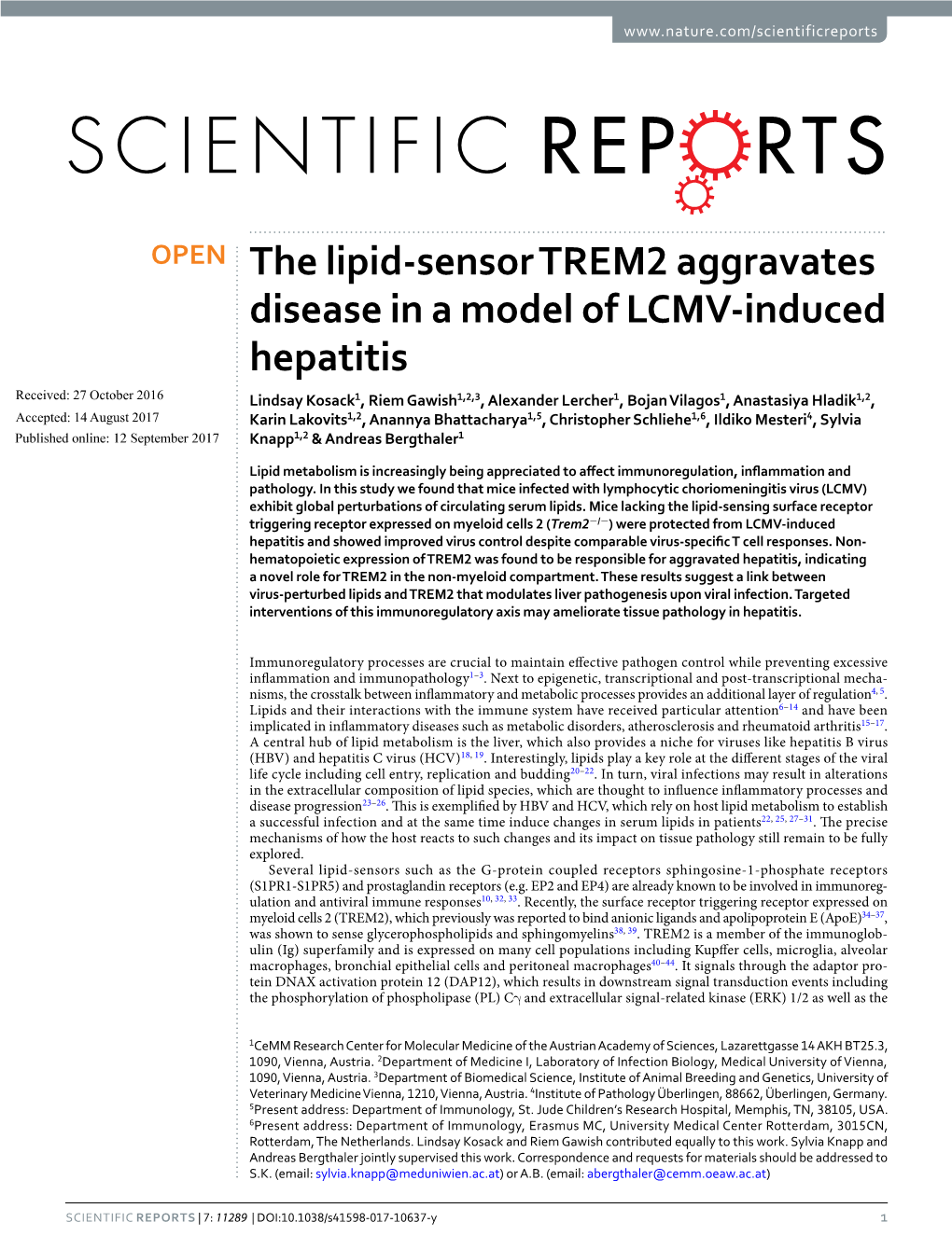 The Lipid-Sensor TREM2 Aggravates Disease in a Model of LCMV-Induced Hepatitis