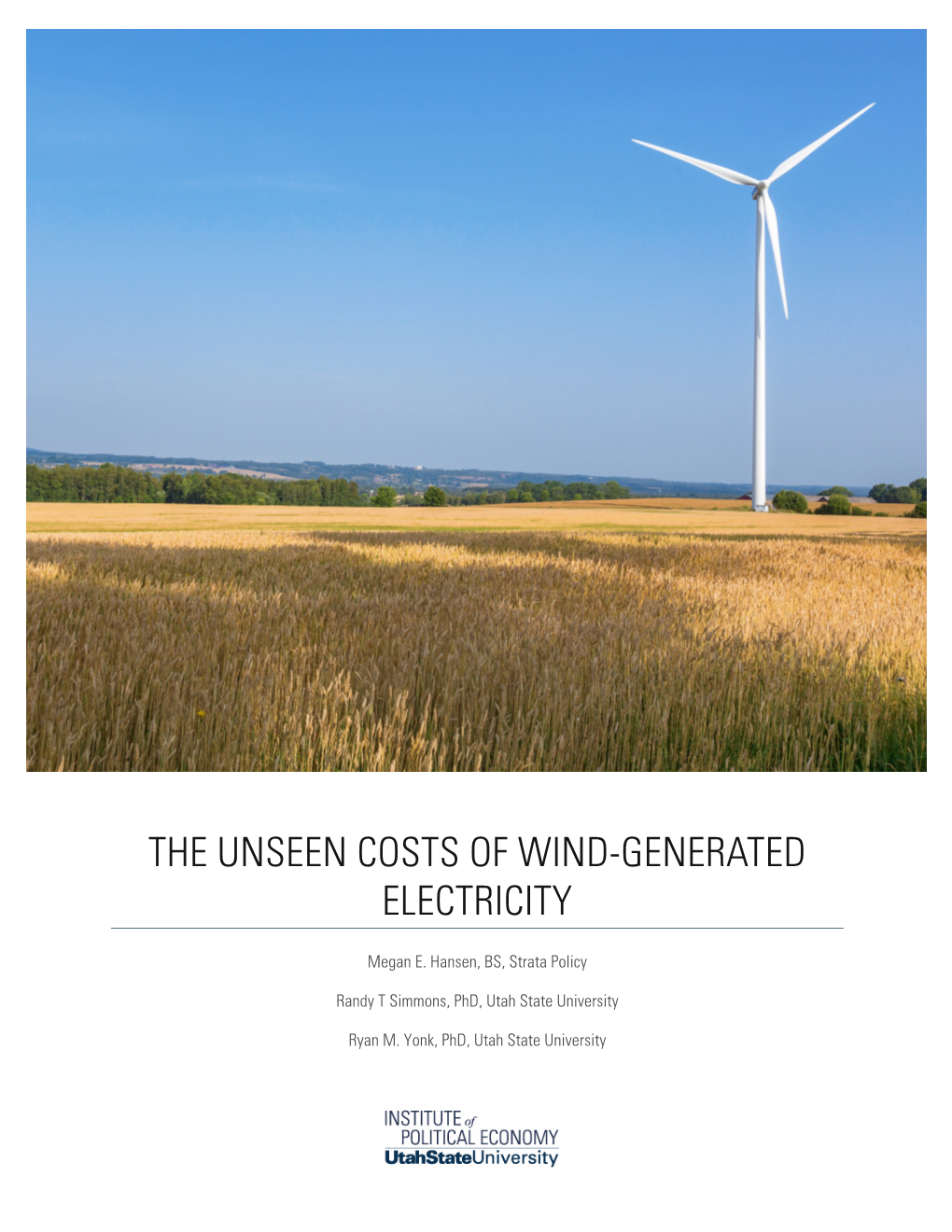 The Unseen Costs of Wind-Generated Electricity