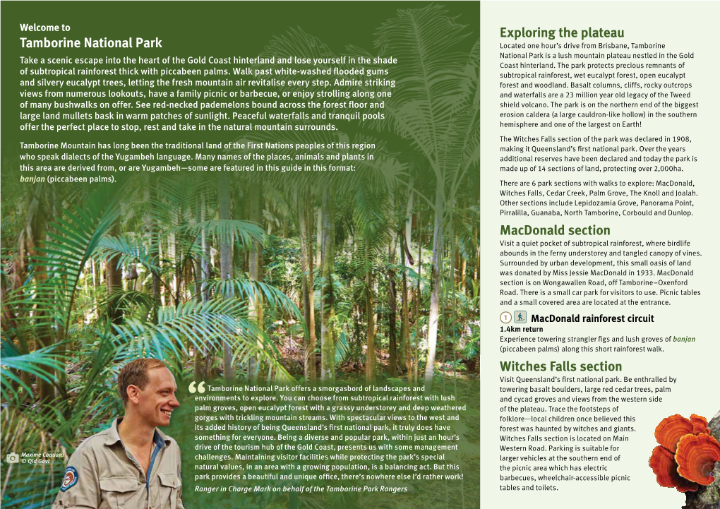 Tamborine National Park Discovery Guide