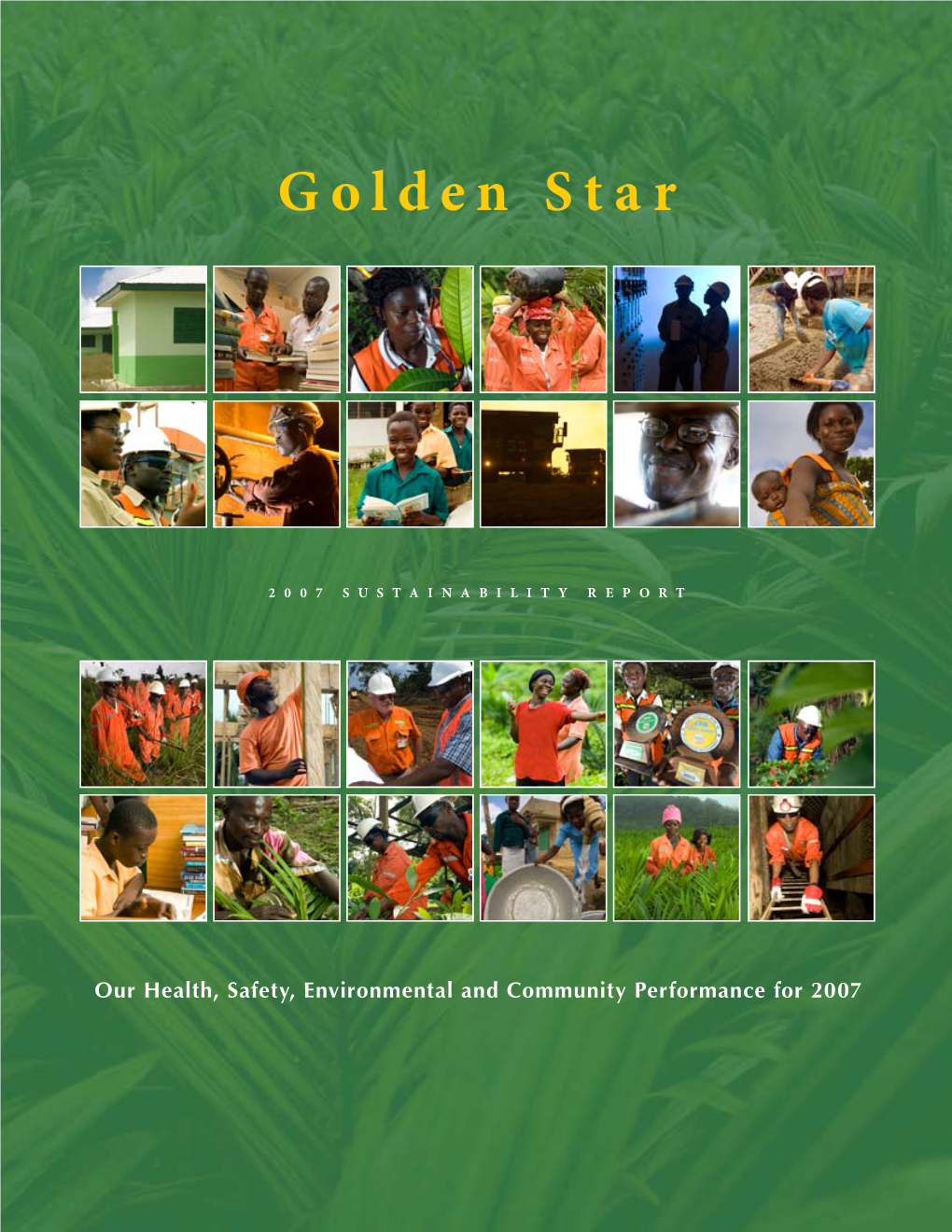 Golden Star Resources Ltd 2007 Sustainability Report