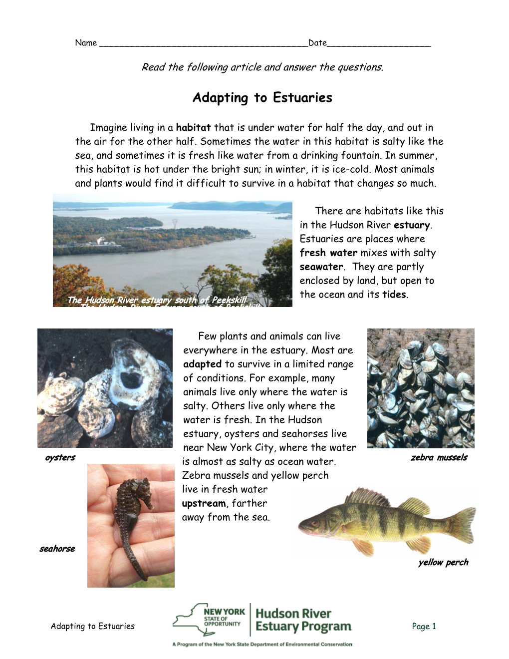 Adapting to Estuaries