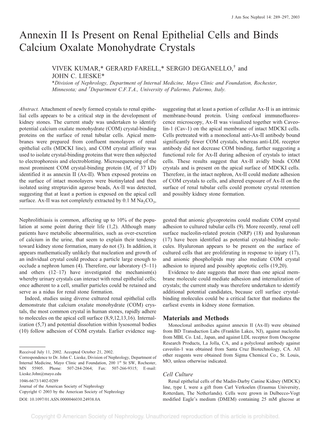 Annexin II Is Present on Renal Epithelial Cells and Binds Calcium Oxalate Monohydrate Crystals