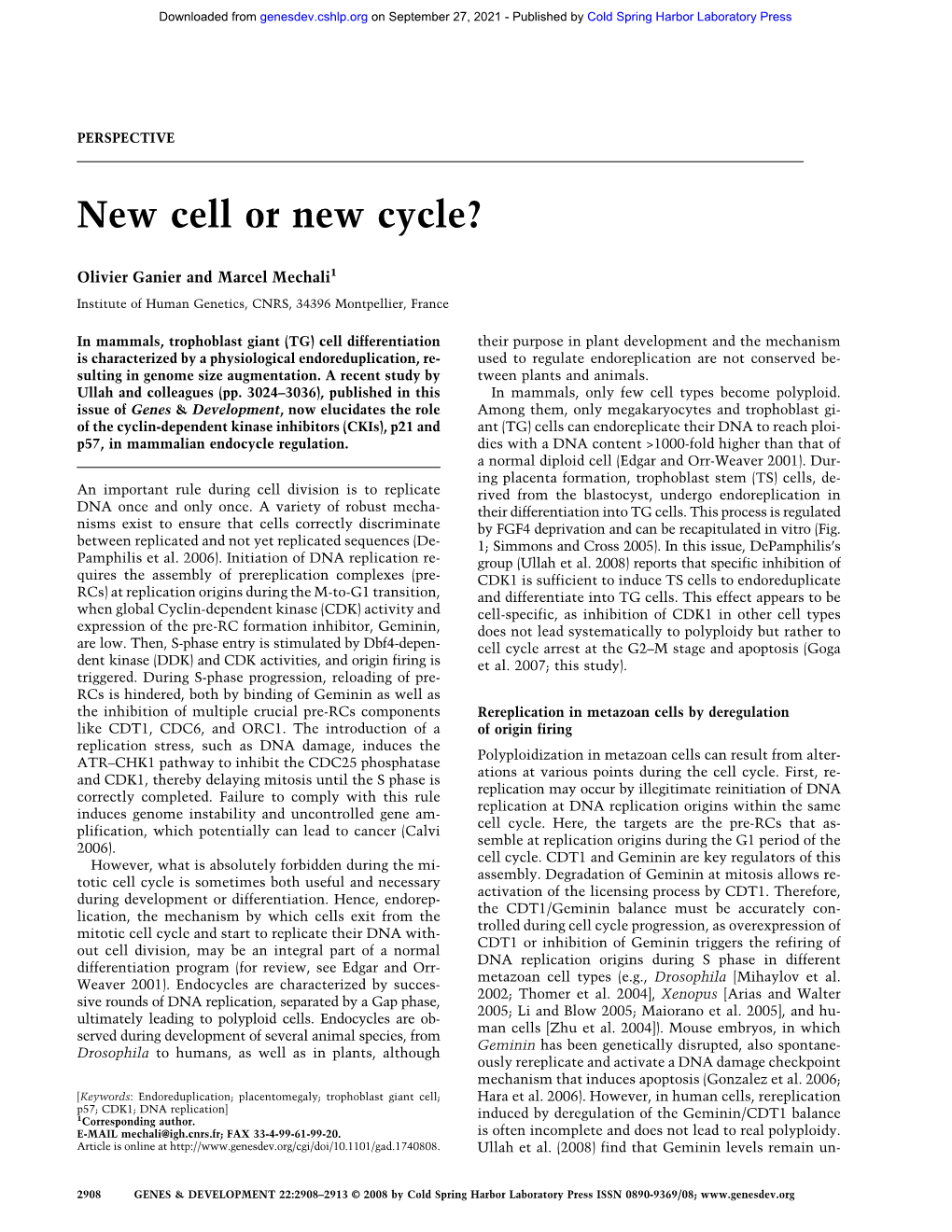 New Cell Or New Cycle?