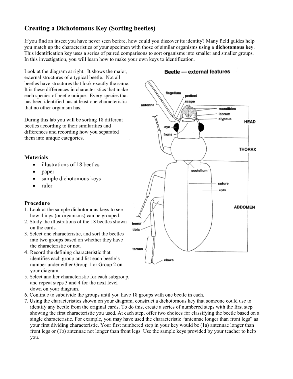 Creating a Dichotomous Key s2