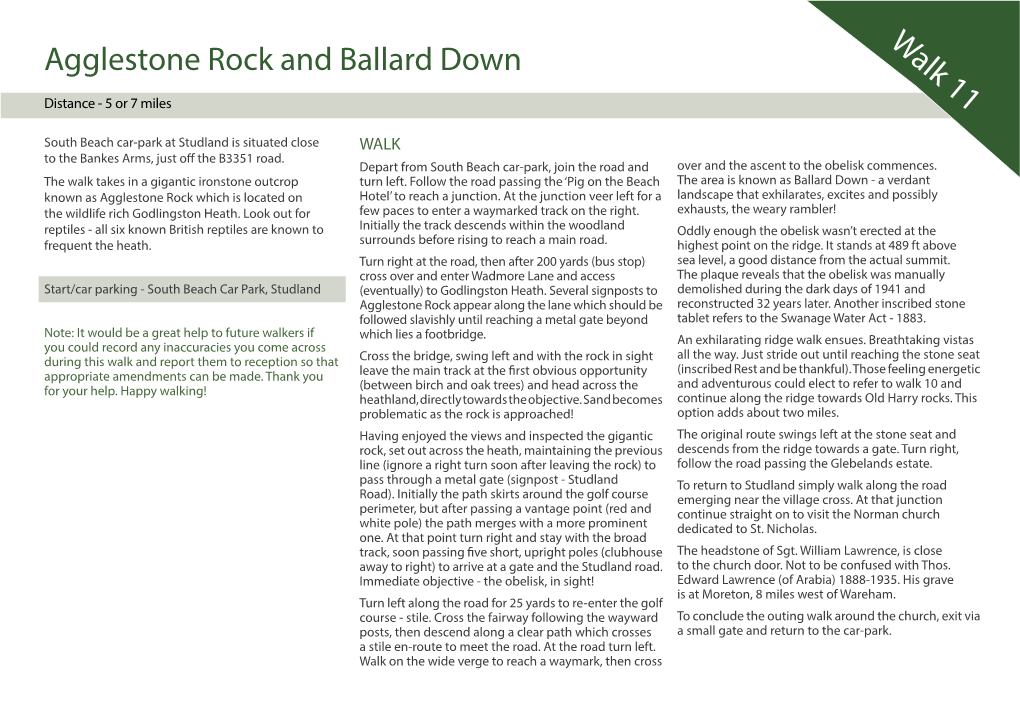 Agglestone Rock and Ballard Down Walk 11