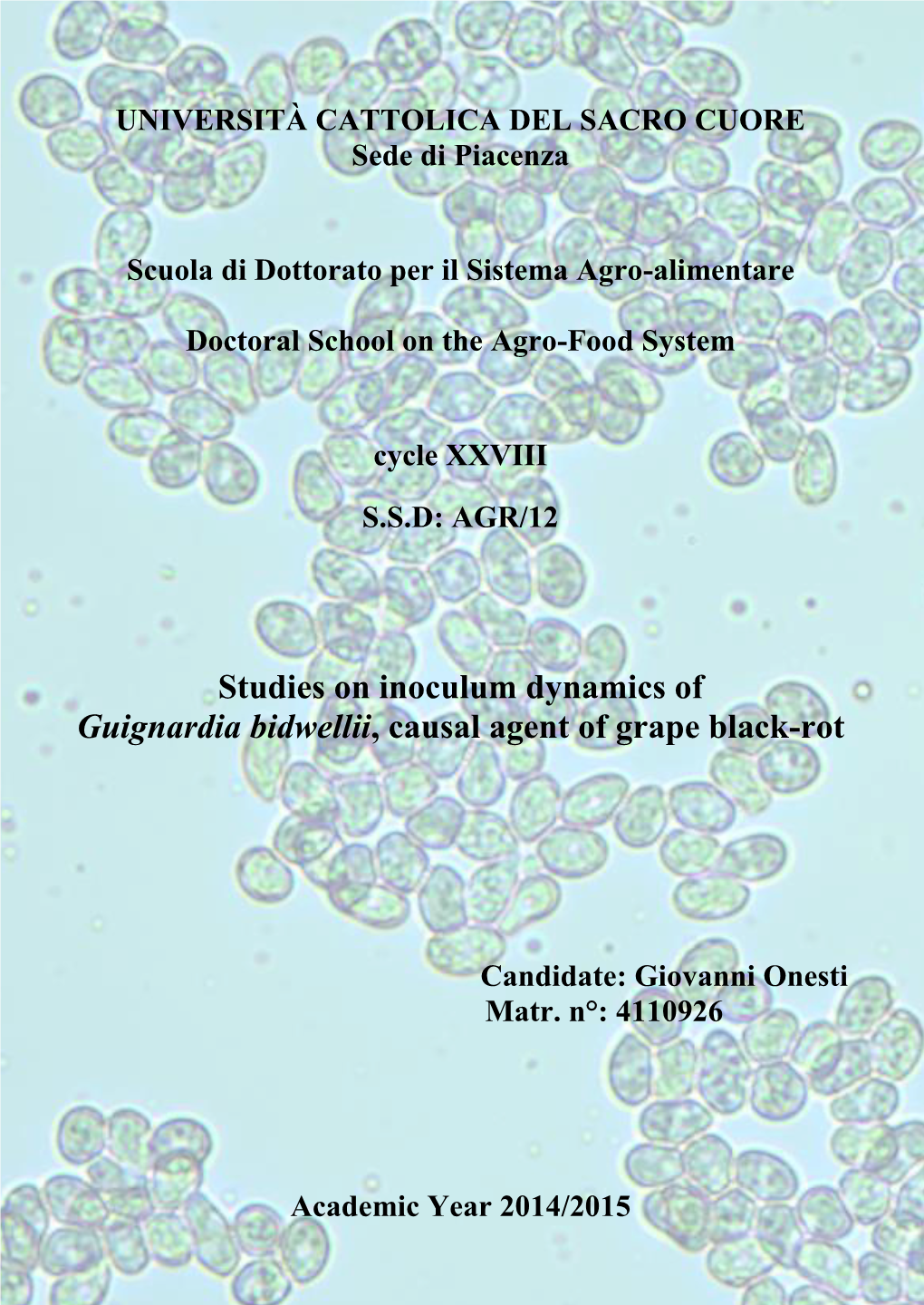 Studies on Inoculum Dynamics of Guignardia Bidwellii, Causal Agent of Grape Black-Rot