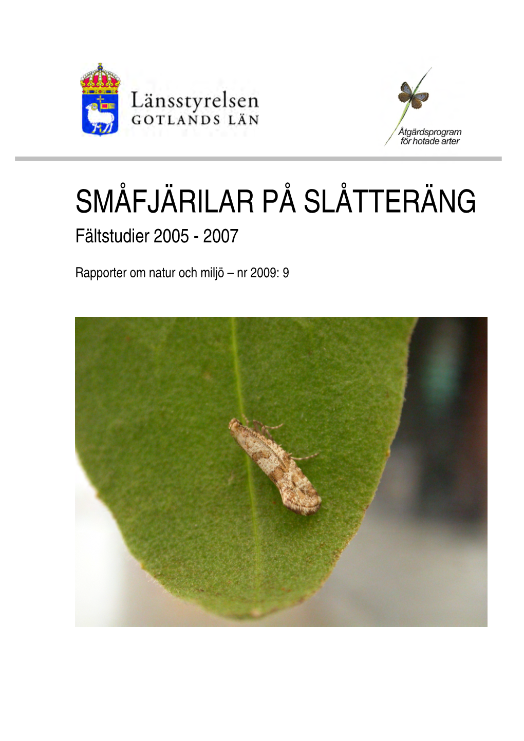 SMÅFJÄRILAR PÅ SLÅTTERÄNG Fältstudier 2005 - 2007