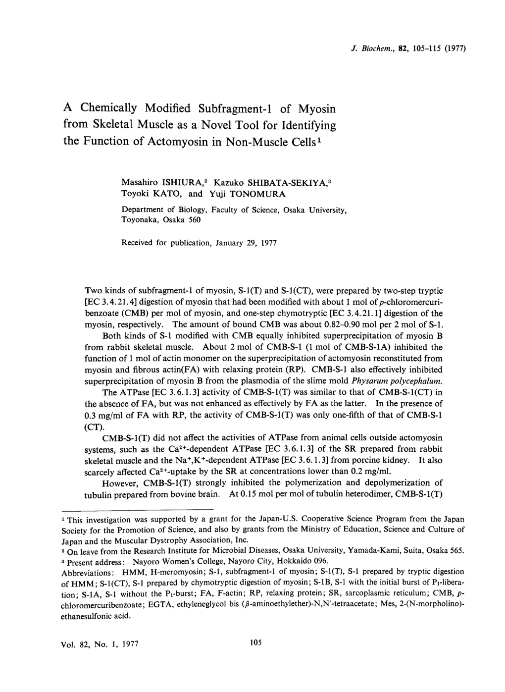 A Chemically Modified Subfragment-L of Myosin from Skeletal Muscle As a Novel Tool for Identifying the Function of Actomyosin in Non-Muscle Cells1