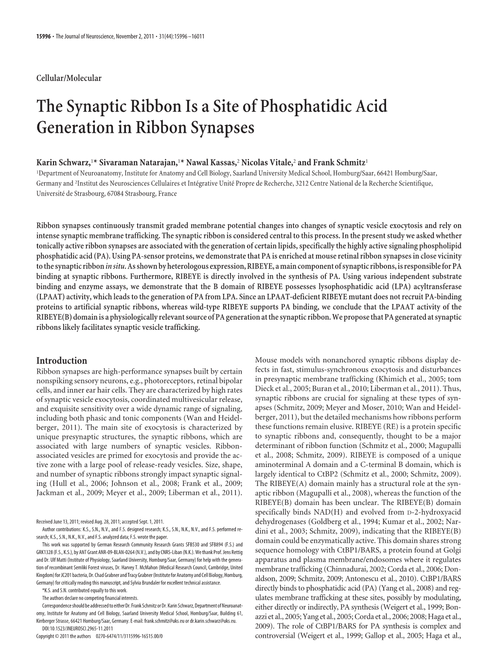 The Synaptic Ribbon Is a Site of Phosphatidic Acid Generation in Ribbon Synapses