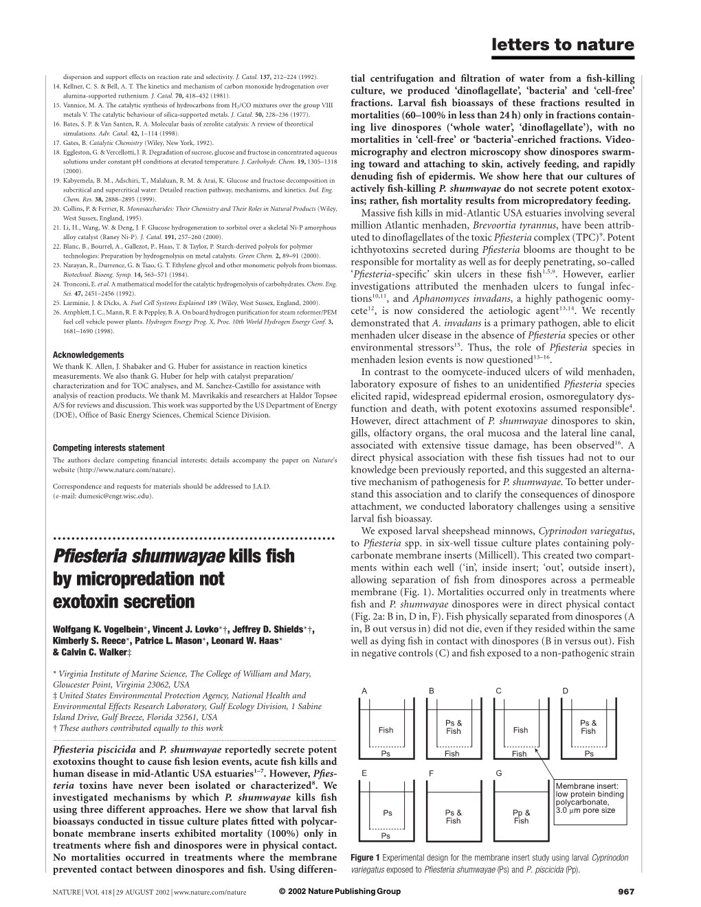 Pfiesteria Shumwayae Kills Fish by Micropredation Not Exotoxin Secretion