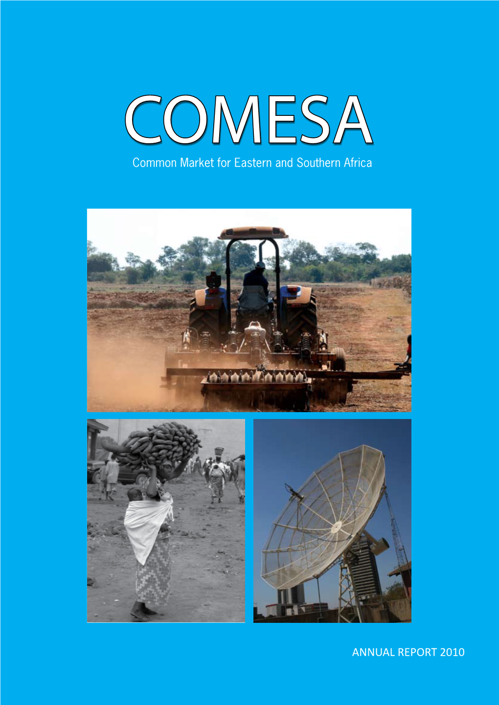 COMESA Annual Report 2010 COMESA Annual Report 3
