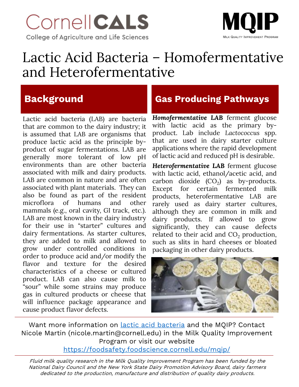 Lactic Acid Bacteria – Homofermentative and Heterofermentative