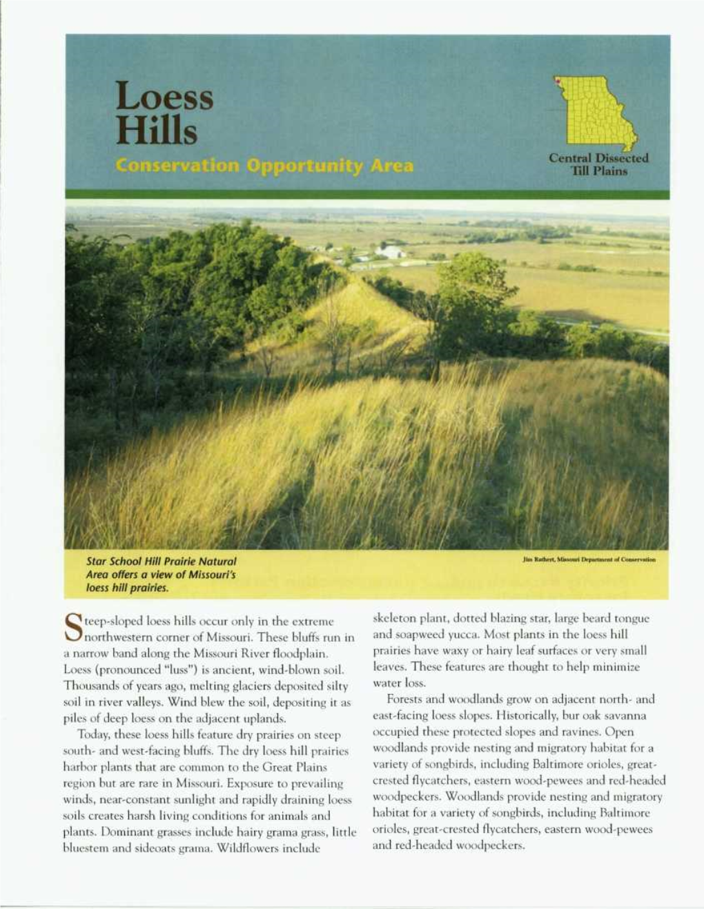 Teep-Sloped Loess Hills Occur Only in the Extreme Northwestern Corner Of