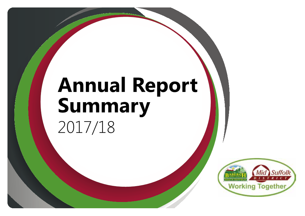Annual Report Summary 2017/18