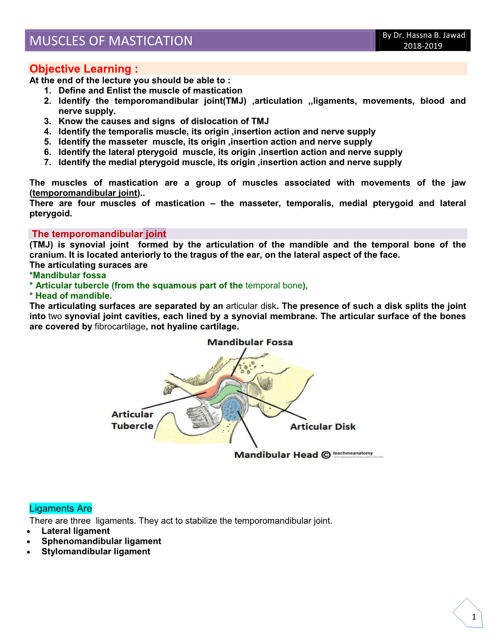 Muscles of Mastication 2018-2019