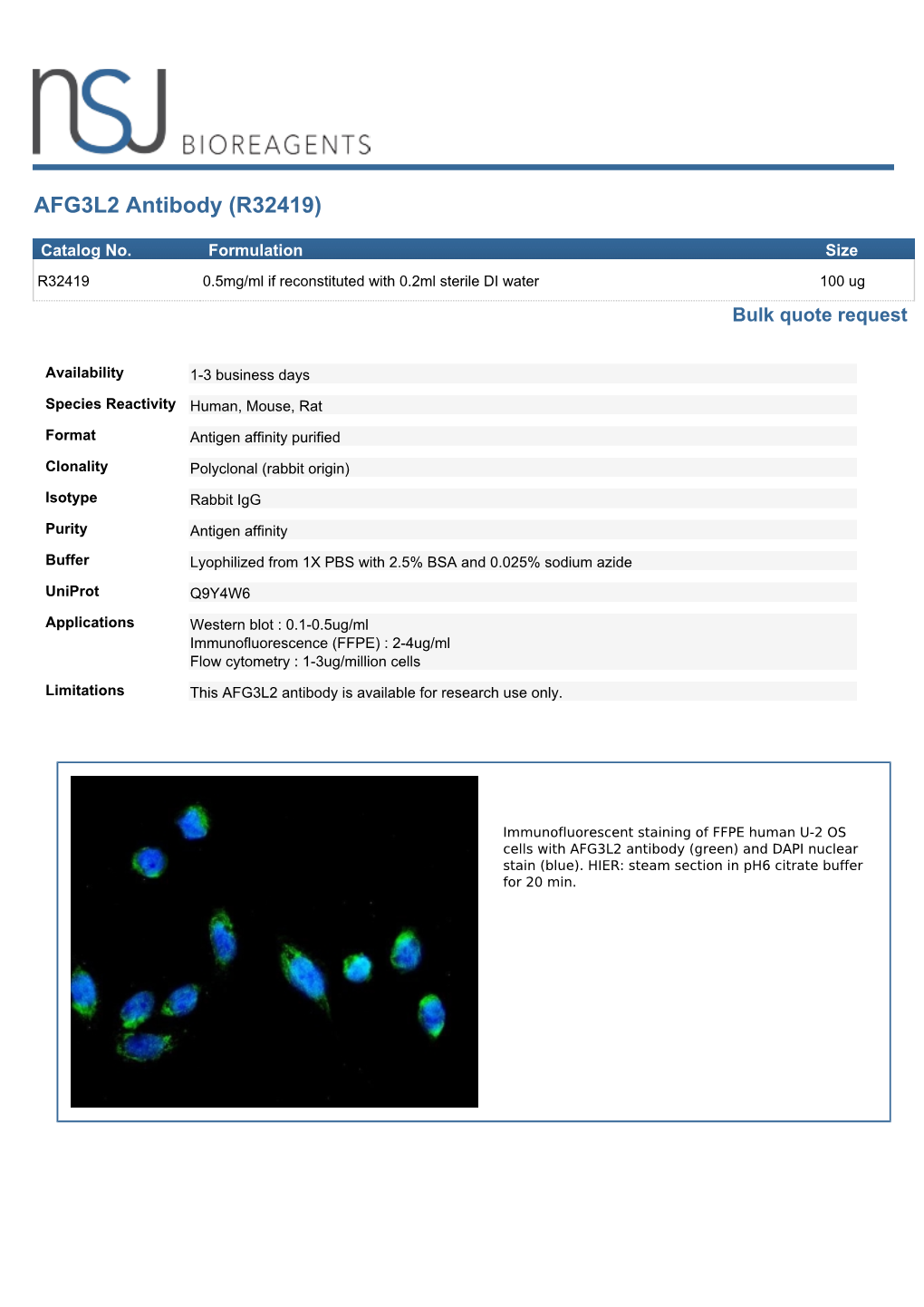 AFG3L2 Antibody (R32419)