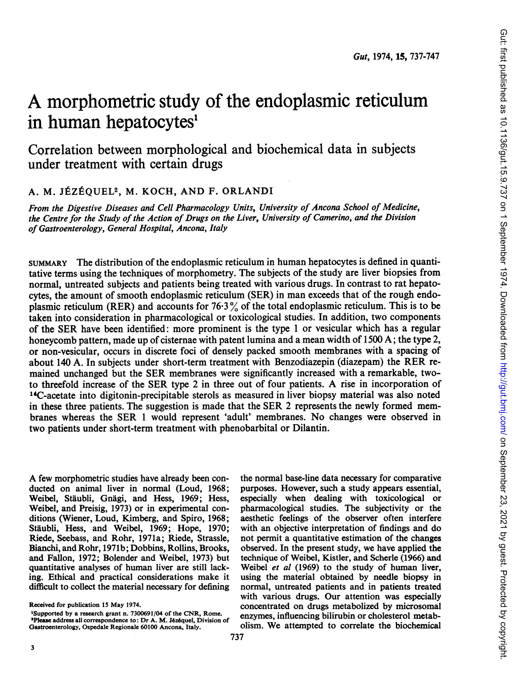 A Morphometric Study of the Endoplasmic Reticulum in Human