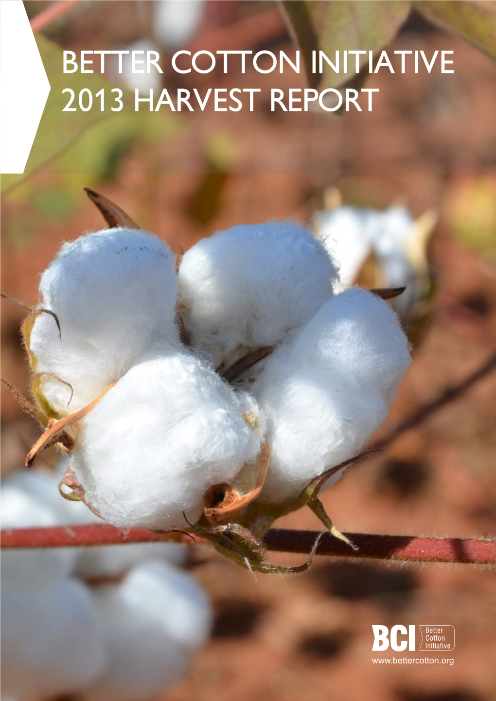 Better Cotton Initiative 2013 Harvest Report